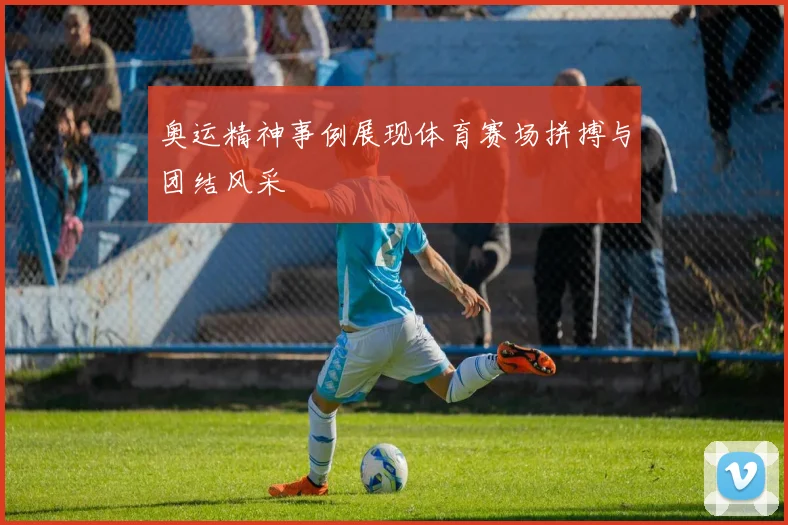 奥运精神事例展现体育赛场拼搏与团结风采