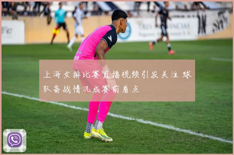 上海女排比赛直播视频引发关注 球队备战情况成赛前看点