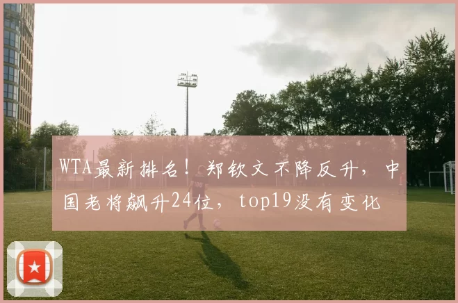 WTA最新排名！郑钦文不降反升，中国老将飙升24位，top19没有变化