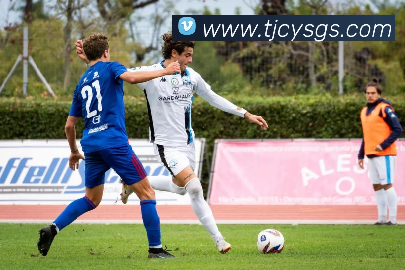 开云官方版网站登录入口 - 开云online(中国)平台生态图